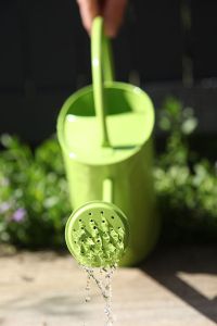 512px-Watering-can-green
